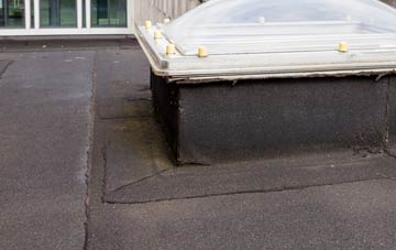 disadvantages of Cladach Iolaraigh flat roofs